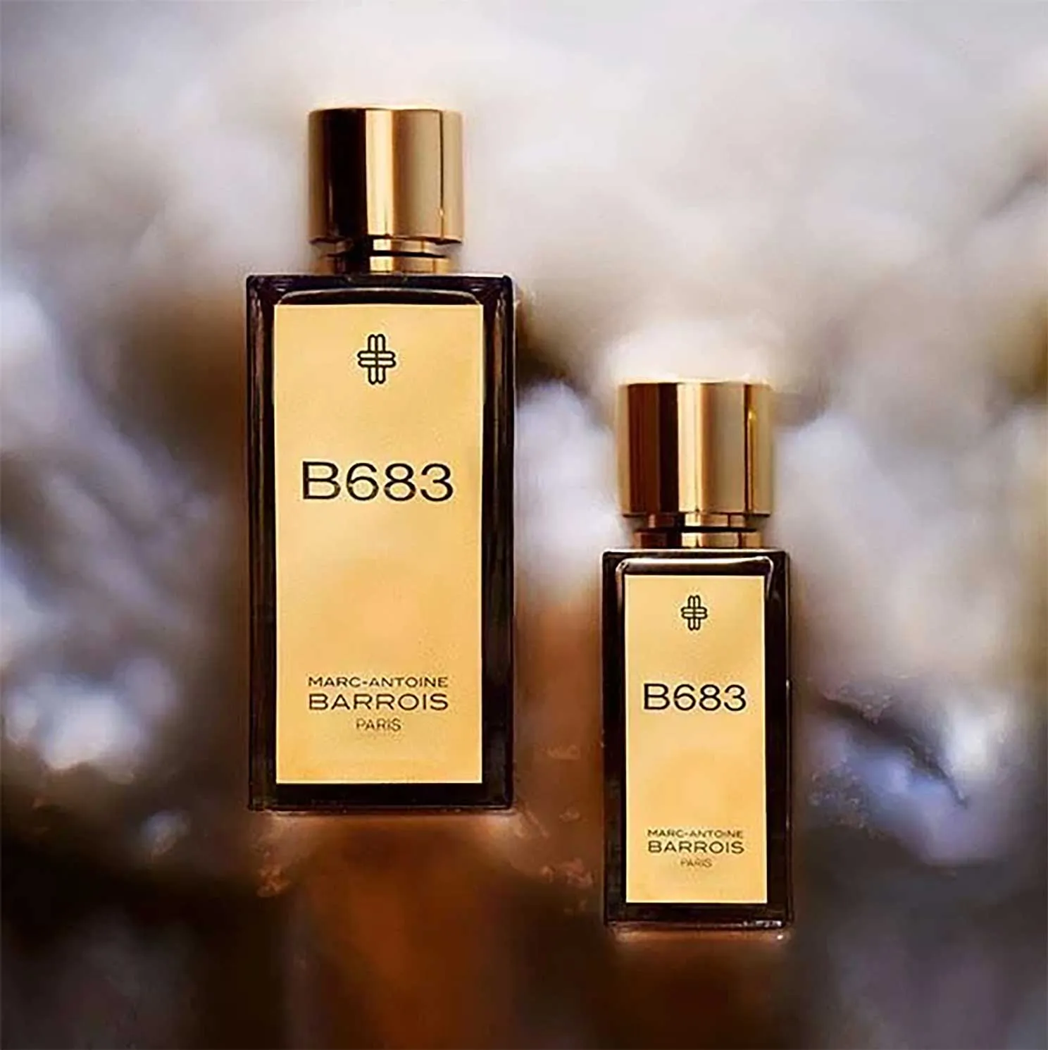 B683 EDP by Marc-Antoine Barrois