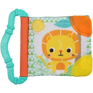 Bright Starts Teethe & Read Teether Baby Book