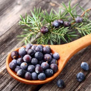 Crisp Juniper FO/EO Blend