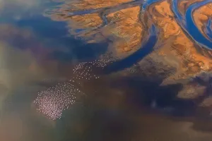 Estuary