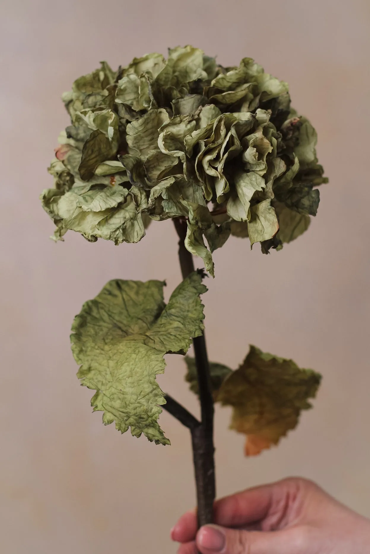 Faux Sage Dried Ruffle Hydrangea