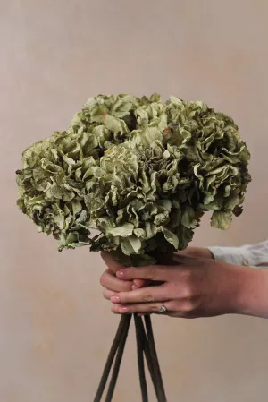 Faux Sage Dried Ruffle Hydrangea