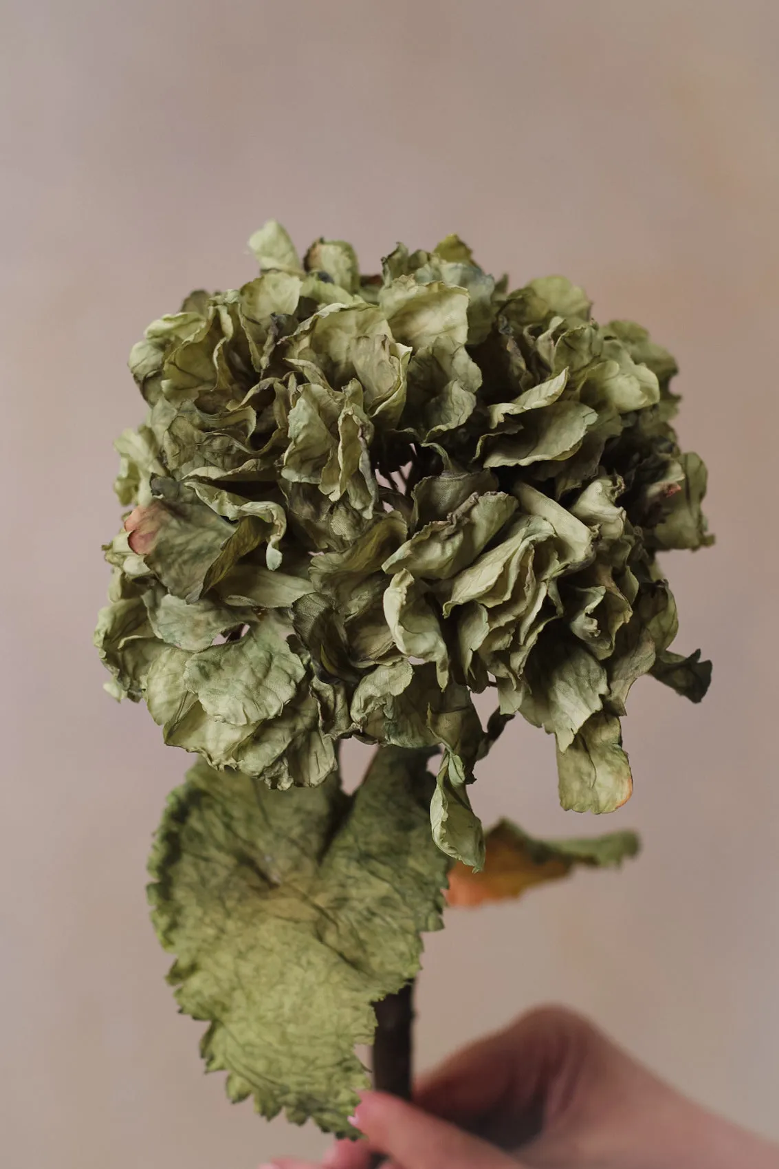 Faux Sage Dried Ruffle Hydrangea