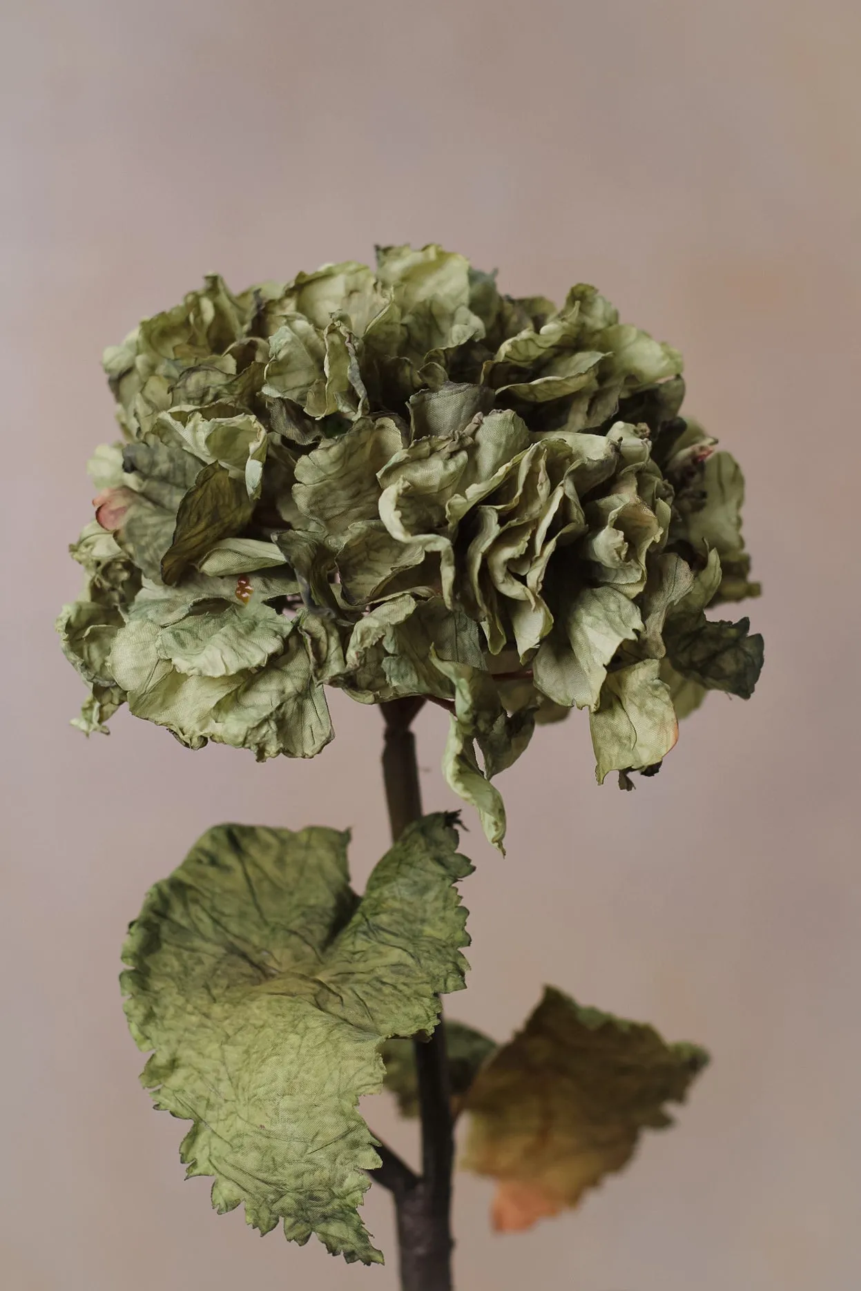 Faux Sage Dried Ruffle Hydrangea