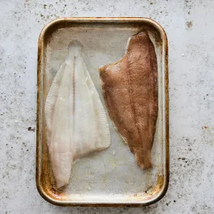 Megrim Sole Fillets
