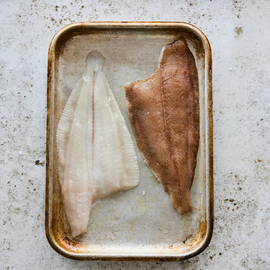 Megrim Sole Fillets