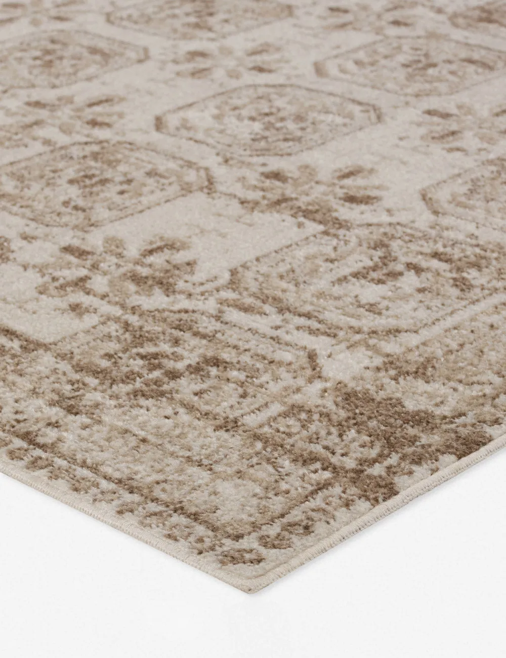 Modesta Rug