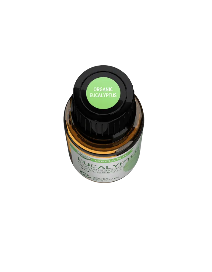 Organic Eucalyptus Essential Oil