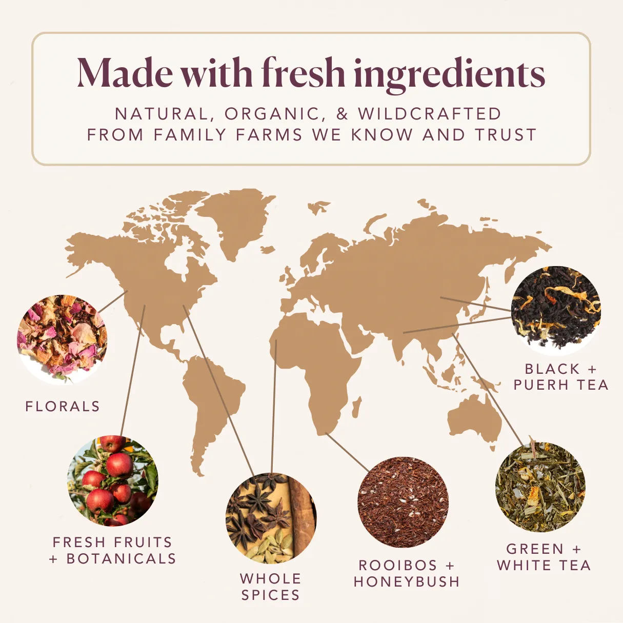 Portland Rose City Chai (Blackberry - Rose)
