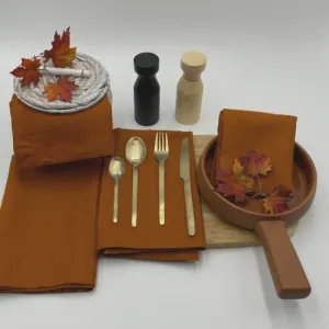 RANS Venice Linen Terracotta Napkin Set