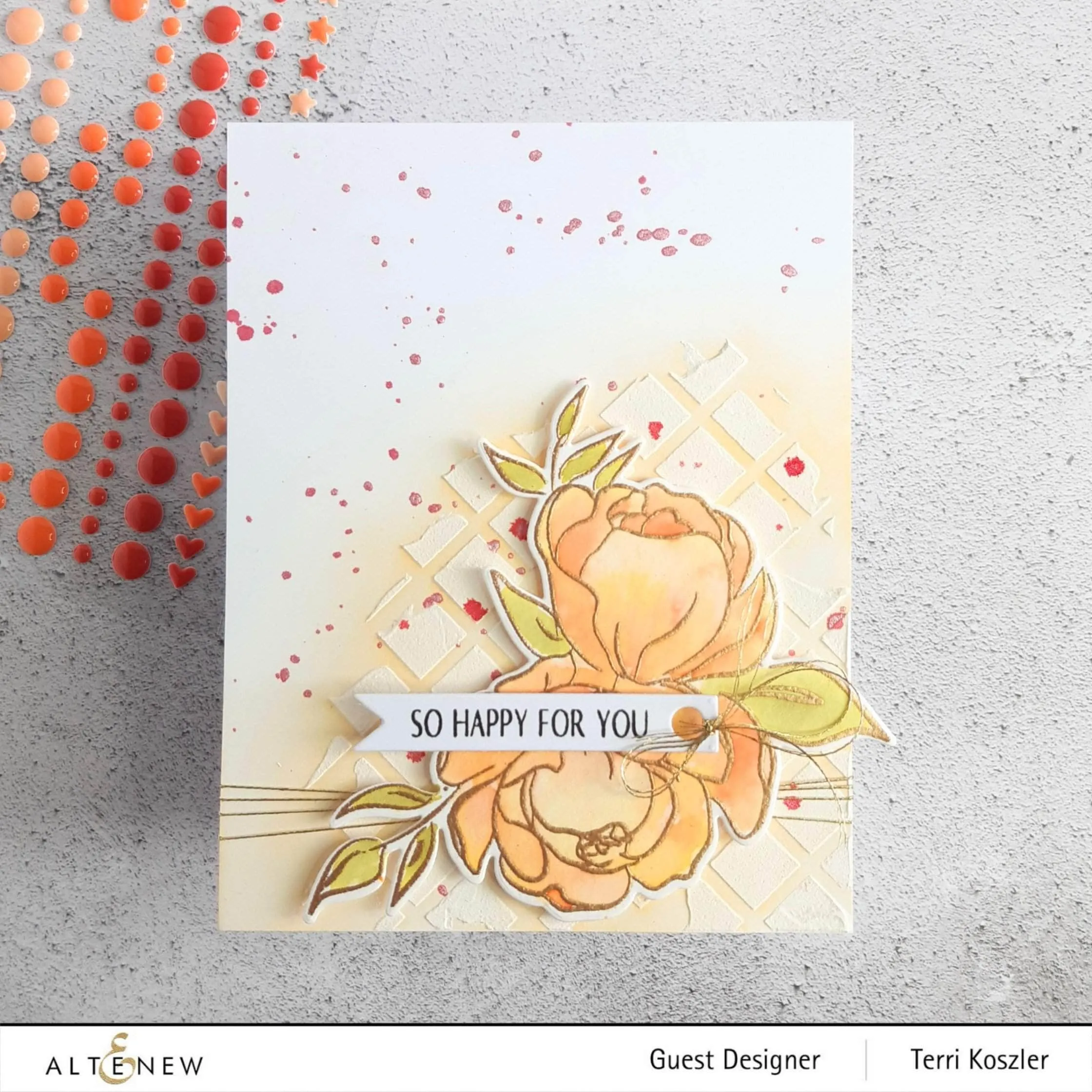 Serenity Enamel Dot Release Bundle