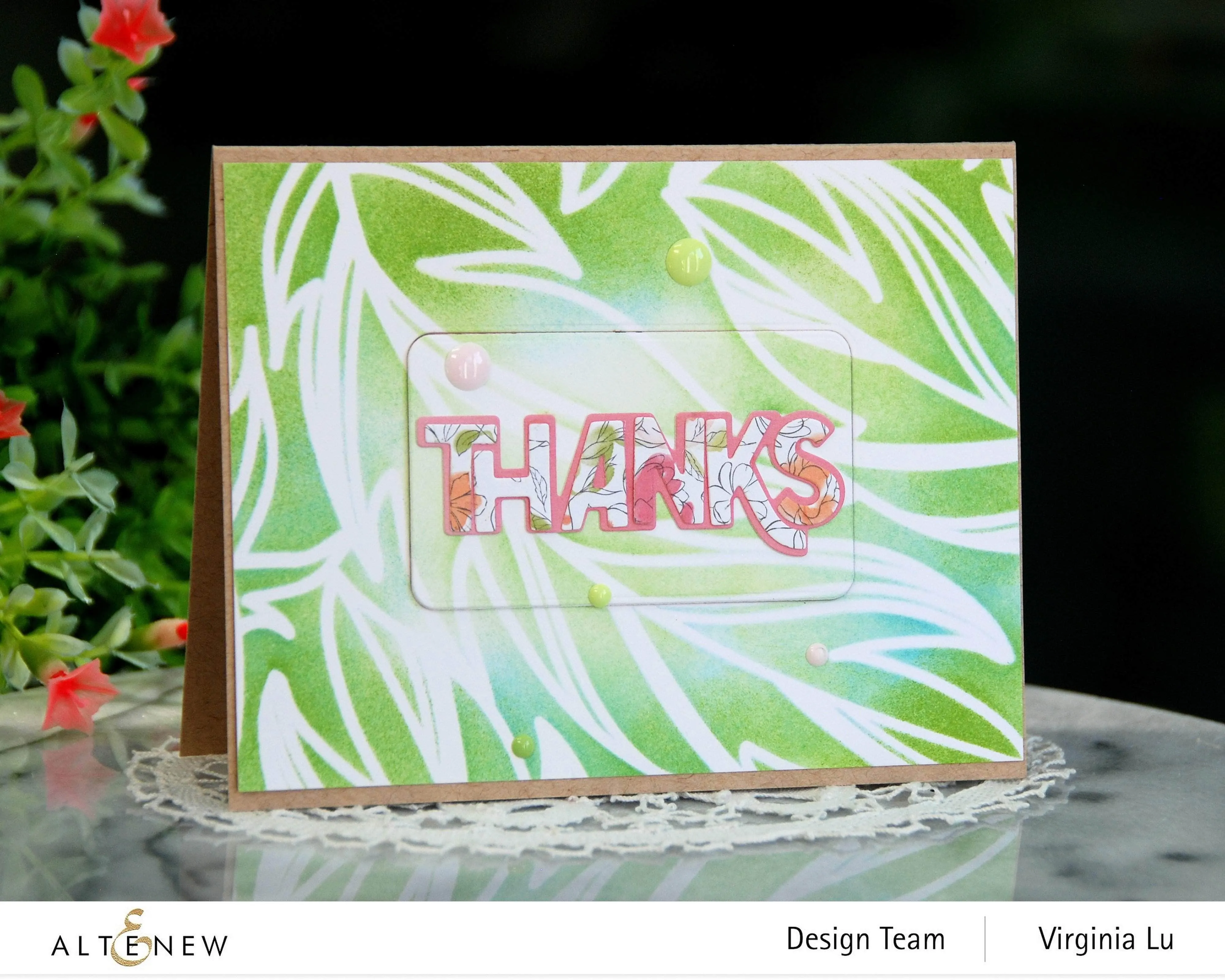 Serenity Enamel Dot Release Bundle