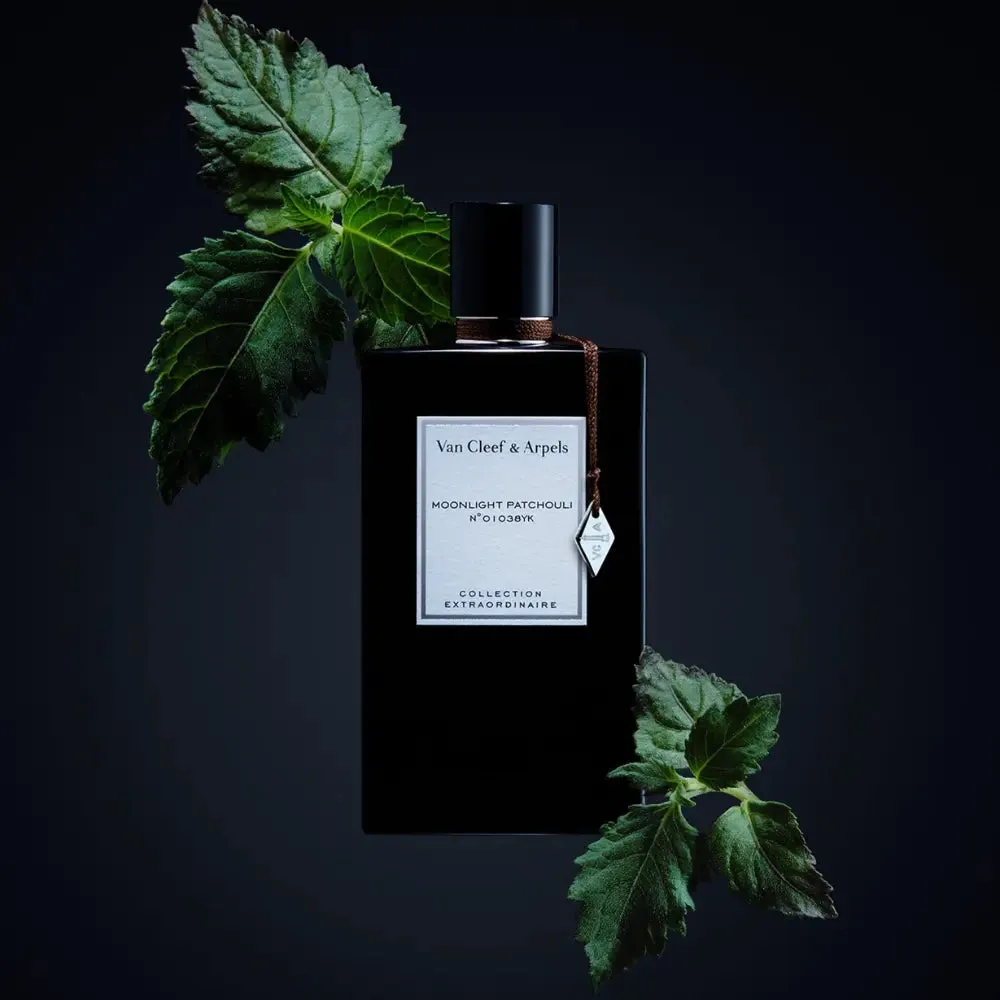 Van Cleef & Arpels Collection Extraordinaire Moonlight Patchouli EDP 75ml